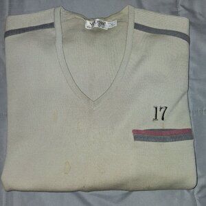 Men's 100% Zephyr Wool V-Neck Sweater